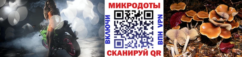 Псилоцибиновые грибы прущие грибы Белокуриха