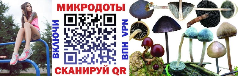 хочу наркоту  Белокуриха  Псилоцибиновые грибы ЛСД 